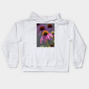 Pink cone flowers in a sunny summer garden Kids Hoodie